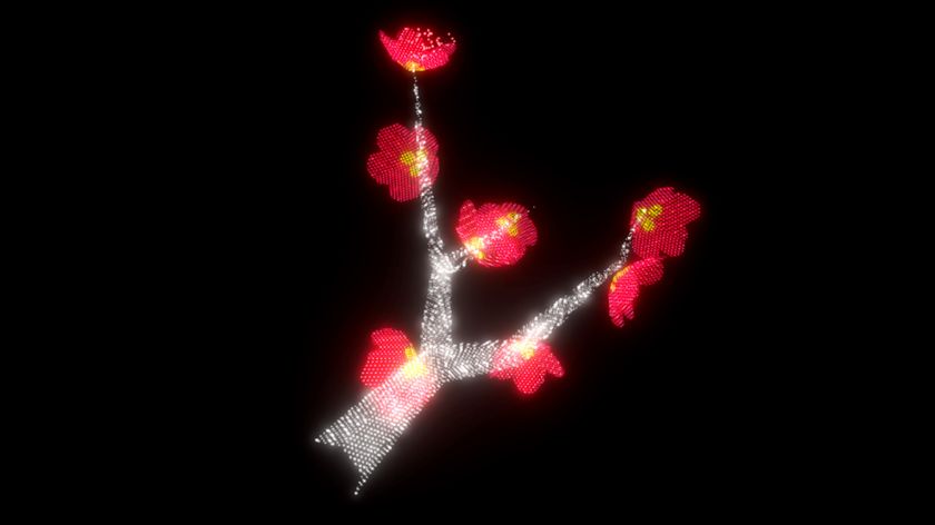 延岡城跡の夜空に映し出される3D映像作品 光と音で奏でる 延岡城跡の夜空に映し出される3D映像作品 光と音で奏でる