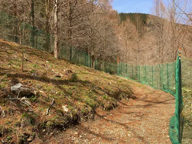 里山ドッグラン1