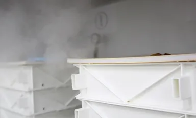 大福ができるまで(1)