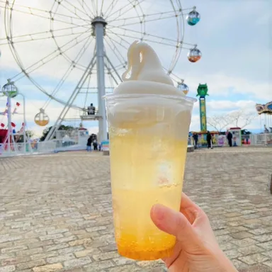 ミサキドーナツ ソレイユの丘店