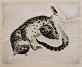 【藤田嗣治】「猫十態 仰向けに横たわる猫」 銅版画　1929年 28×36cm