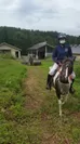 ポニーの乗馬体験