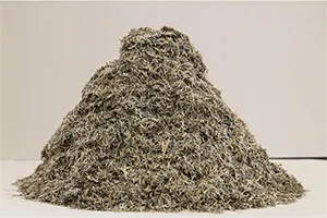 古くなった銀行券は、細かく裁断されリサイクルへ