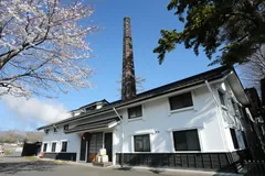 桜と田村酒造場