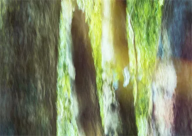 347 イメージビジュアル