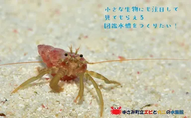 クラウドファンディング2