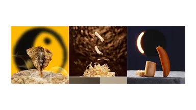 カンフー・ヒーロー／女神の夜遊び／卑弥呼のバケーション