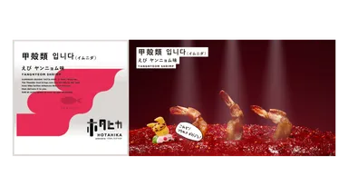 甲殻類(イムニダ)