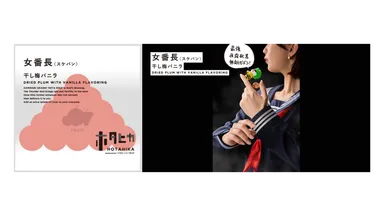 女番長(スケバン)