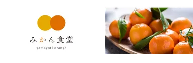 みかん食堂ロゴ他
