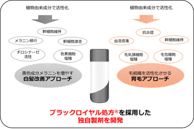 図2：2つのアプローチを合わせた独自製剤を開発