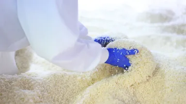 糀の製造の様子