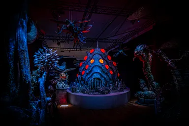 風の谷のナウシカ 王蟲の世界(1)　(C)Studio Ghibli