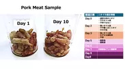 STEP1：豚肉の経時劣化の様子[静置1日後と10日後]、経過日数と豚肉のニオイの感応情報