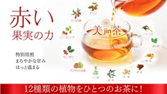 美jin茶イメージ(1)