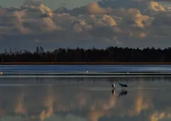 風蓮湖