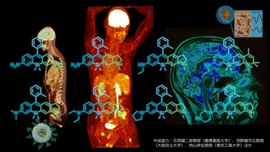 分子イメージングのイメージイラスト