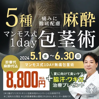 「マンモス式1day無痛包茎術」キャンペーン