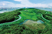 来年3月に公園として全面開園を予定している江東区の海の森公園予定地