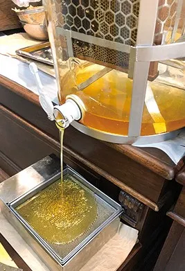 東武のはちみつ　蜜搾り体験