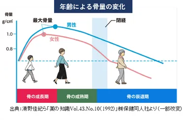 年齢による骨量の変化