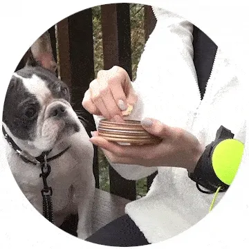 おやつタイムもスムーズ