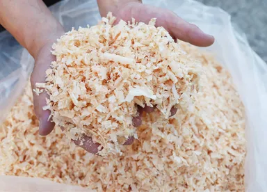 こんなにもふっわふわ