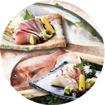 龍馬ぶり・龍馬鯛