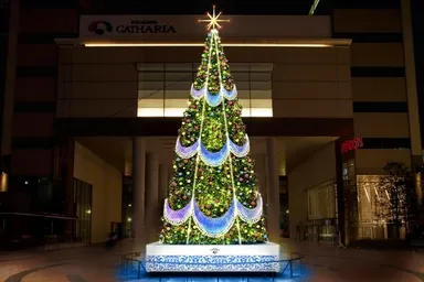 今年のクリスマスツリー