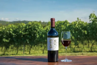 椀子ワイナリー ワイン