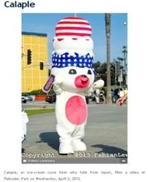 ニュースサイト掲載画像