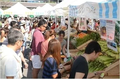 「太陽のマルシェ」会場の様子