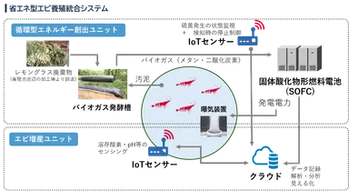 実証システムイメージ