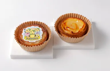 トルテのさんぽ