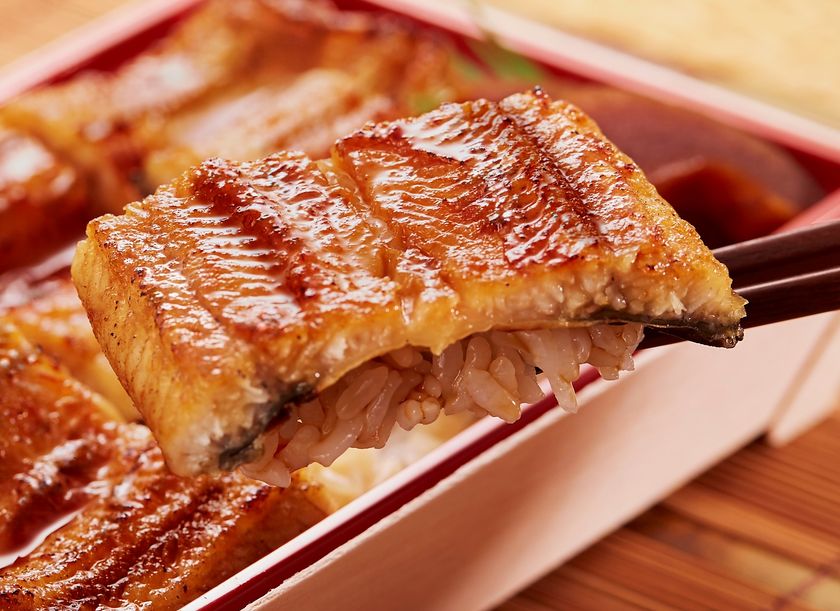 近鉄百貨店がプロデュースするうなぎ専門店が新たに登場！
肉厚な浜名湖産うなぎにこだわった、全国初登場のオリジナルブランド
「うなぎ屋 ハレルヒ」７月３日（水）あべのハルカスにオープン