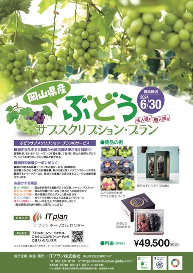 ぶどうサブスクリプション・プラン　チラシ