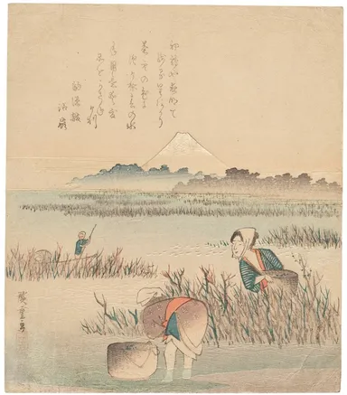 歌川広重「海苔採り」