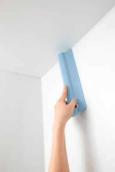 tidy スキージー