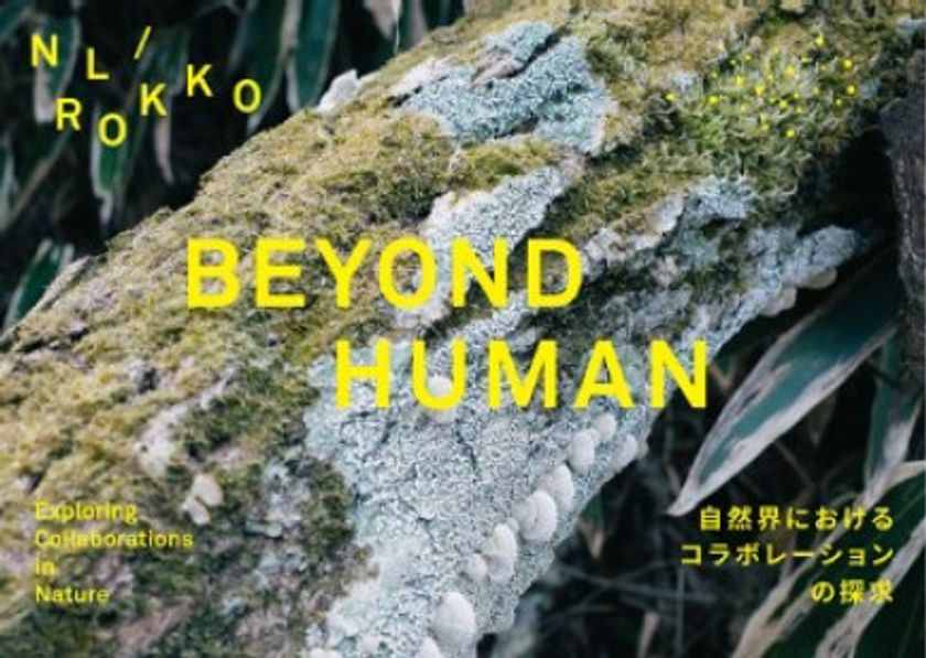 神戸六甲ミーツ・アート2024 beyond
オランダゆかりのアーティストが
社会課題をテーマに作品を出展
コンセプトの「BEYOND HUMAN」を発表