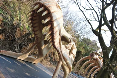 恐竜の森／巨大恐竜の骨