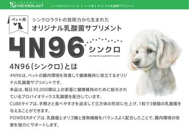 4N96(シンクロ)とは