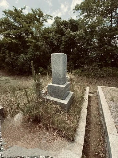 手入れができず、草木が生い茂ったお墓(2)