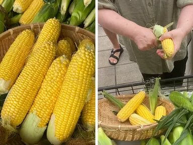 とうもろこし早むき大会