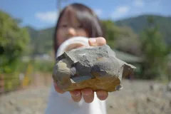 1億年前の二枚貝化石発見！