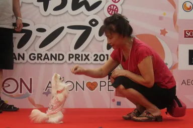 「芸-わん！グランプリ2013予選大会」の様子