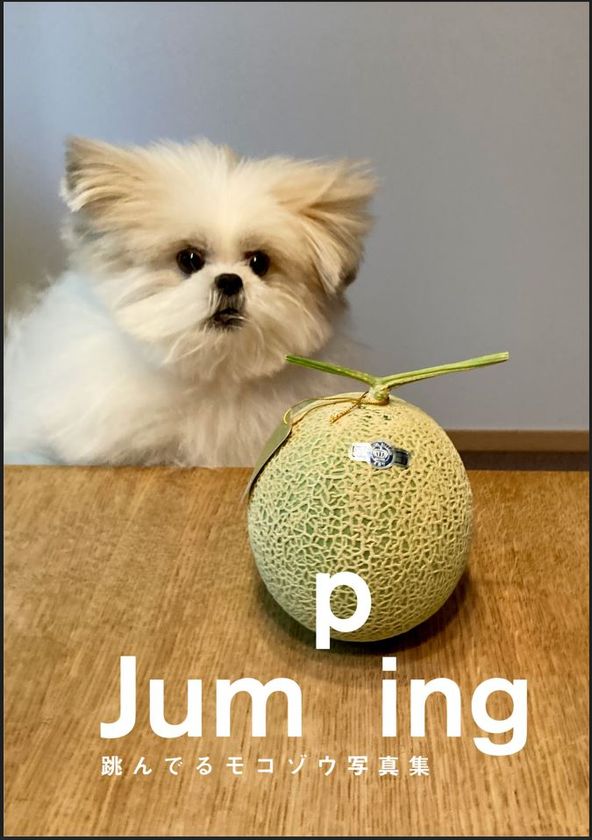 跳んでるモコゾウ写真集【電子特典付き】発売記念
[特製バッジ＆ブックマーク]プレゼントキャンペーン！