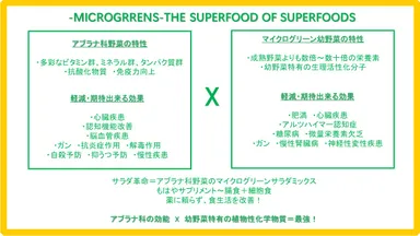 アブラナ科品種効能×幼野菜特性