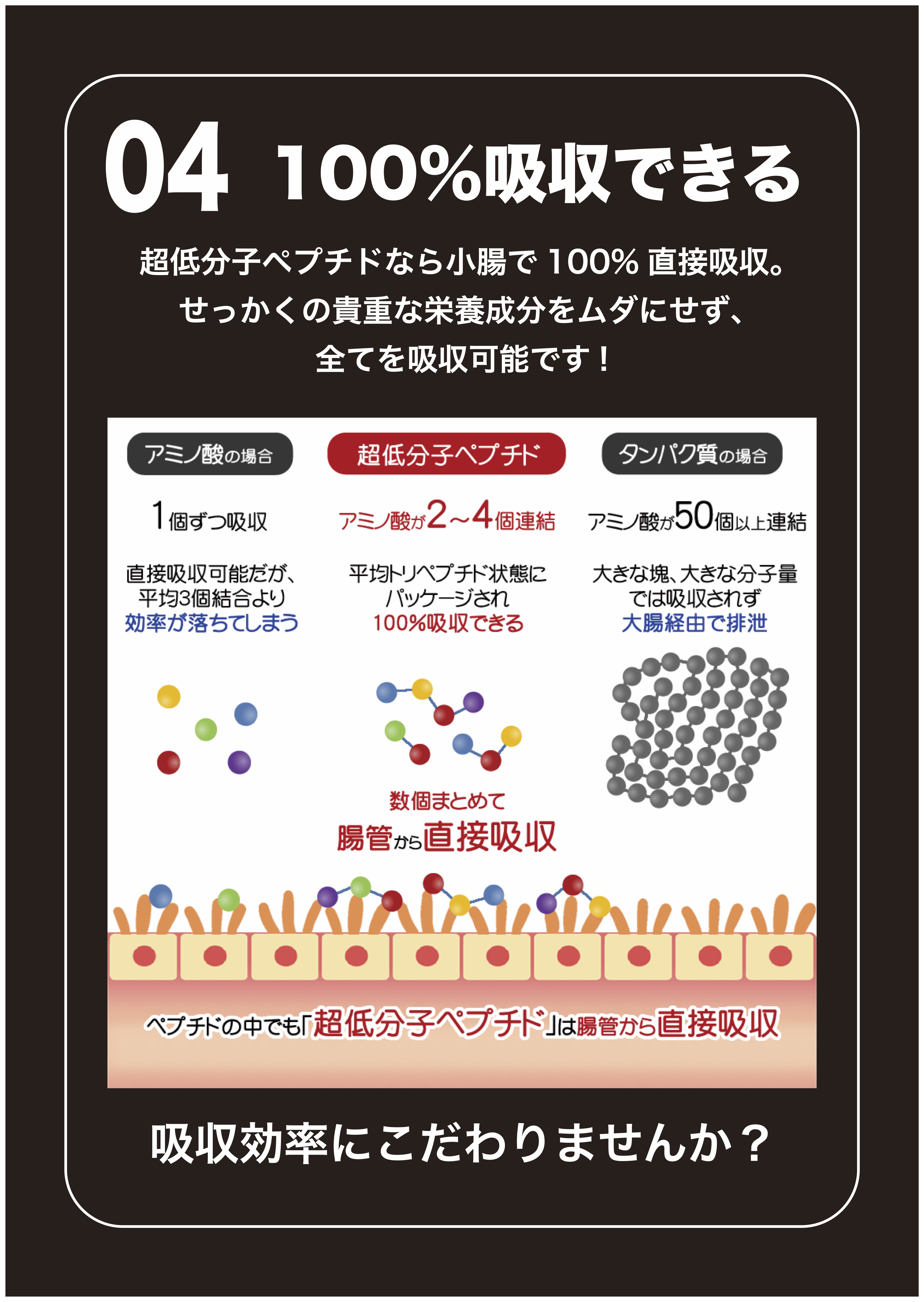 公式】ペプチドマッスル｜筋力アップ・筋量アップにおすすめ！究極のプロテイン。無添加・シェイカー不要 | 【公式】ペプチドワン｜超低分子ペプチド 専門ブランド