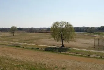 「取手緑地運動公園」の野球場です。冬には付近がマラソン大会のコースにもなっています。
