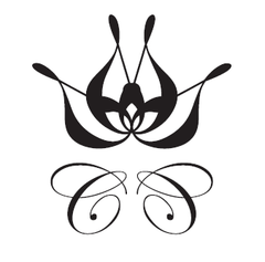 株式会社Steady.Corporation